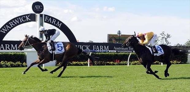 Leebaz - Warwick Farm - 20/03/2014